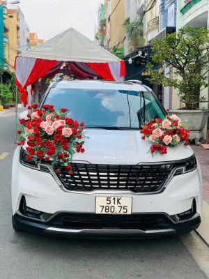 Xe Hoa Kia Carnival