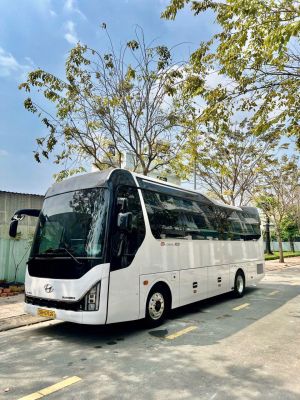 Dcar Limousine 28 chỗ