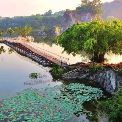 B&ograve; Cạp V&agrave;ng - Đồng Nai